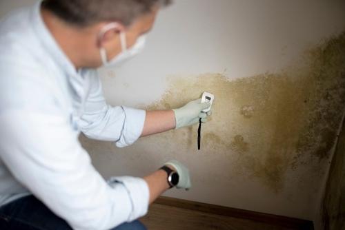 Man with a mask testing for 模具 in a home